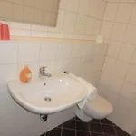 海尔顿潘森酒店 招待所 慕尼黑